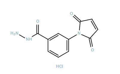 3-N-Maleimidobenzohydrazide-HCl